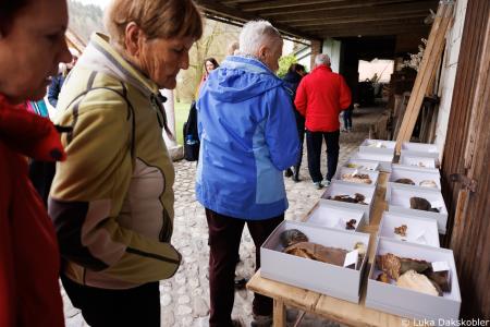 Literarna transverzala Po mamutovih stopinjah od Kamnika do Nevelj (27)